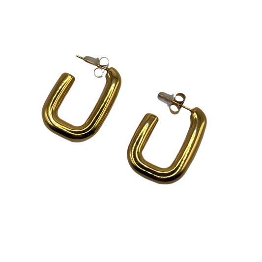 Boucles D'oreilles Les Charismatique