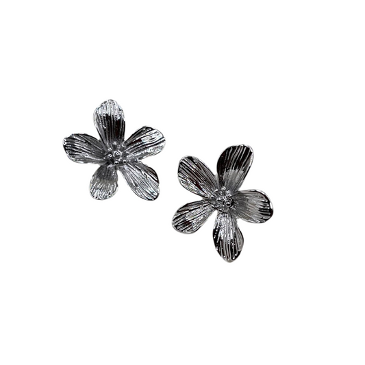 Boucles d’oreilles Venise Argenté